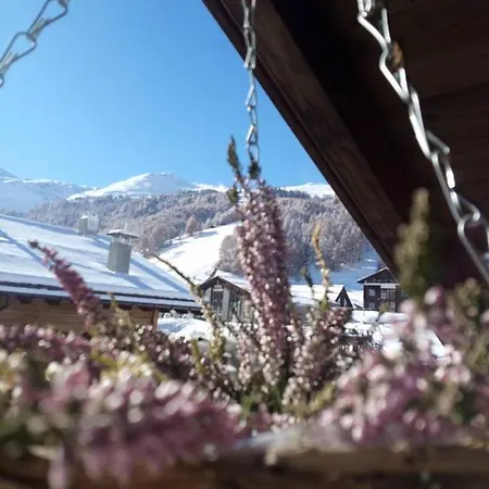 Charme Dg Stella Alpina Livigno