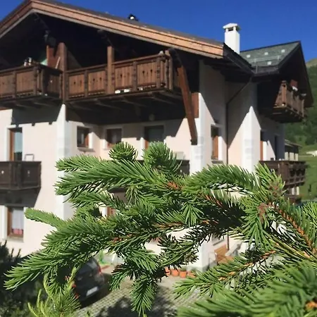 Charme Dg Stella Alpina Livigno